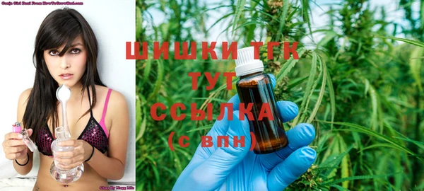 твердый Пересвет