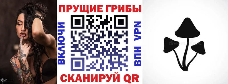 цена   MEGA tor  Галлюциногенные грибы мицелий  Курлово 